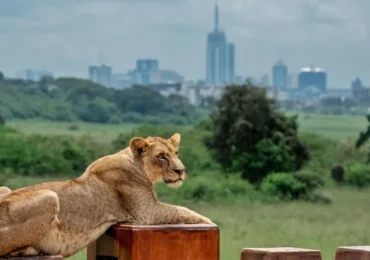 Nairobi by Crystal Tours