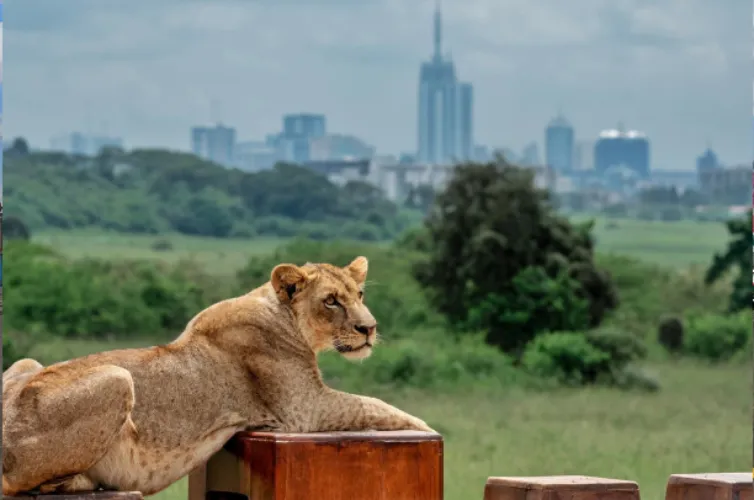 Nairobi by Crystal Tours