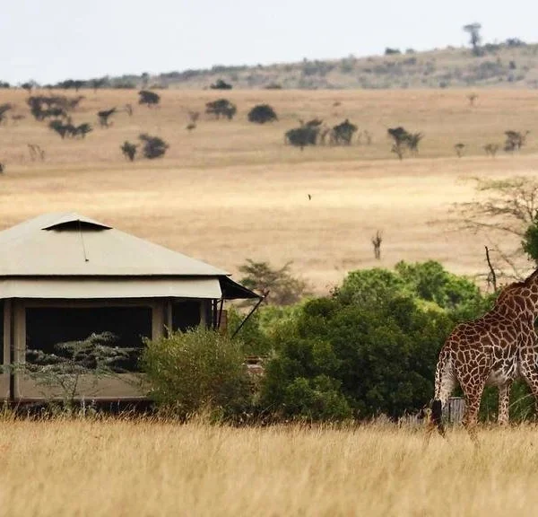Olare Mara Kempinski 2 Nights – Unforgettable Luxury Safari Experience (Non-Resident)