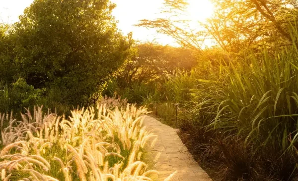Olkupelia Mara Camp 2 Nights – Unforgettable Luxury Maasai Mara Safari (Non-Resident)