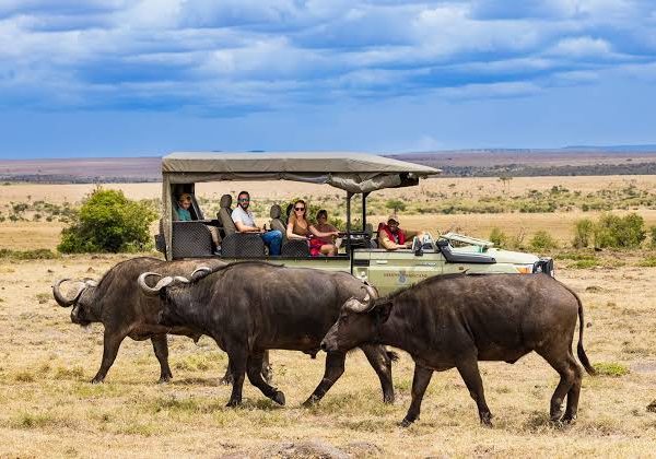 Saruni Mara 2 Nights – Unforgettable Luxury Wilderness Escape