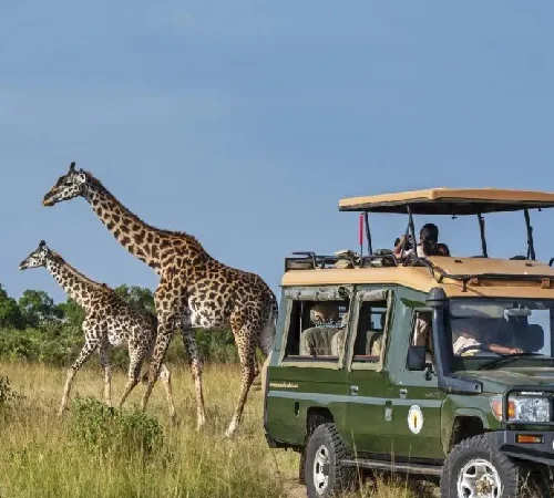 Soroi Larsens Camp 2 Nights – Unforgettable Luxury Samburu Safari (Non-Resident)