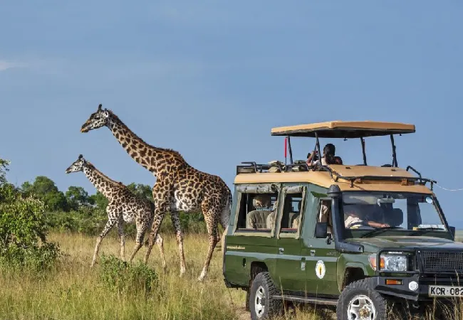 Soroi Larsens Camp 2 Nights – Unforgettable Luxury Samburu Safari (Non-Resident)