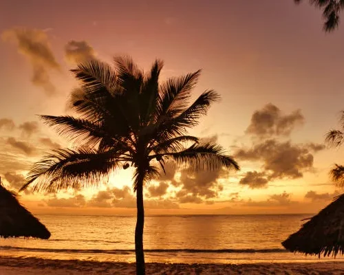 Southern Palms Beach Resort Diani Flying Package _ 2 Nights Resident Special by crystal tours (2)