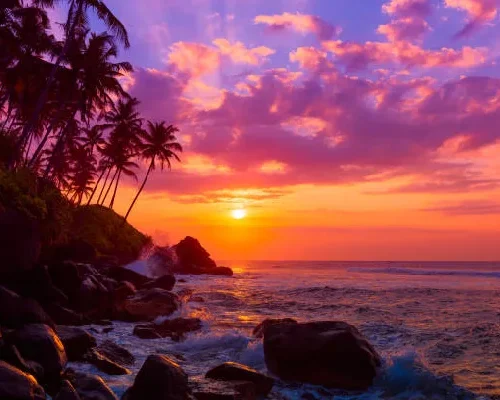 3 Day Southern Palms Beach Resort