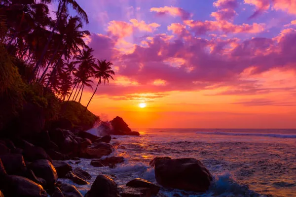 3 Day Southern Palms Beach Resort