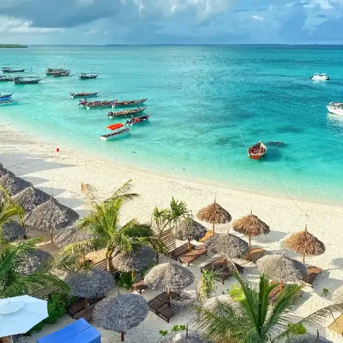 Tanzania Safari and Zanzibar Holiday