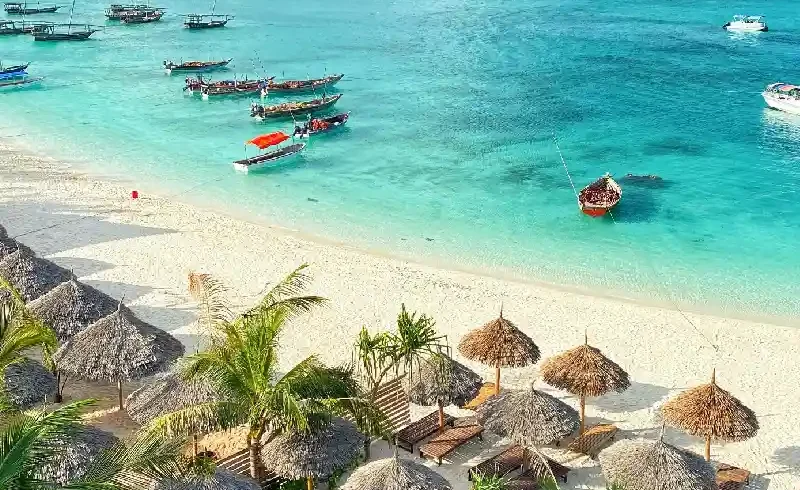 Tanzania Safari and Zanzibar Holiday