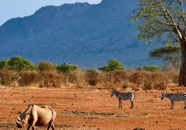 Tsavo west by crystal tours