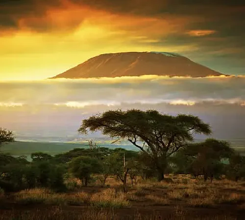 amboseli serena safari by crystal tours kenya (2)
