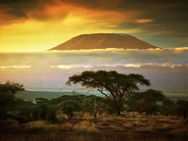 amboseli serena safari by crystal tours kenya (2)
