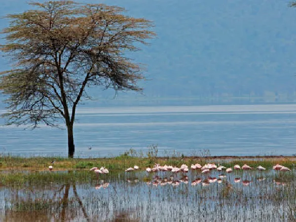 best view in nakuru by crystal tours