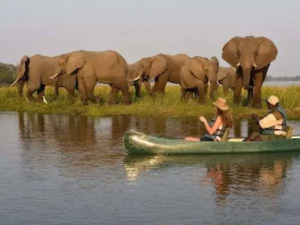 canoeing in lake manyara by crystal tours