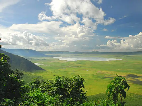 conserved area in ngorongoro crater by cystal tours kenya