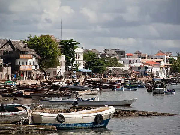 dhow sailing in lamu