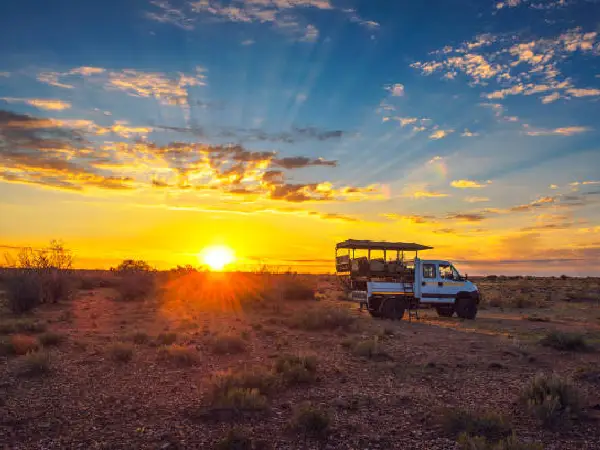 evening game drive at maasai mara