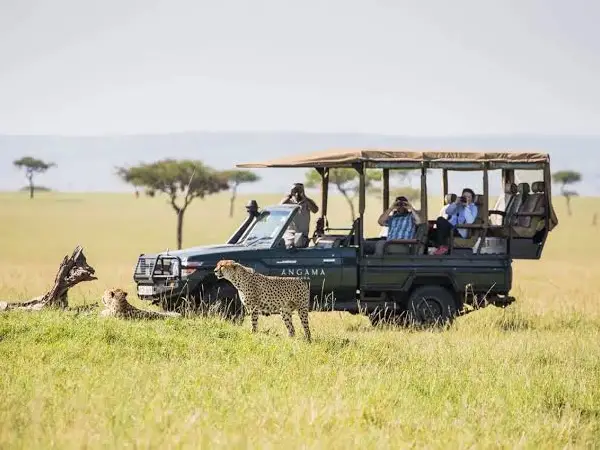game drive in lake nakuru by crystal tours