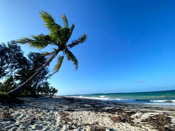 kipungani beach in lamu by crystal tours