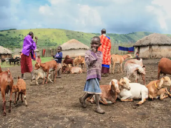 maa culture in ngorongoro by crystal tours
