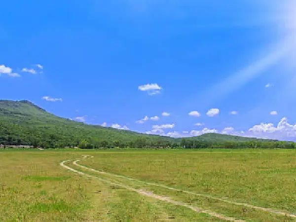 motorogi conservancy in maasai mara