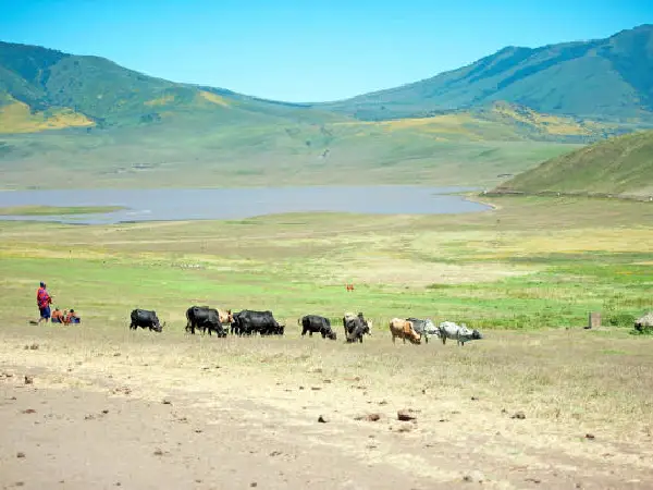 ngorongoro crater in tanzania by crystal tours kenya