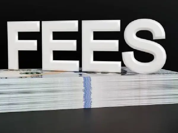 payable fees for the application