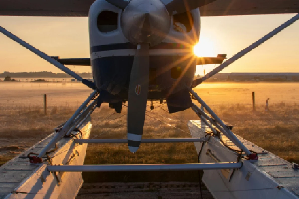 Fly-In safaris
