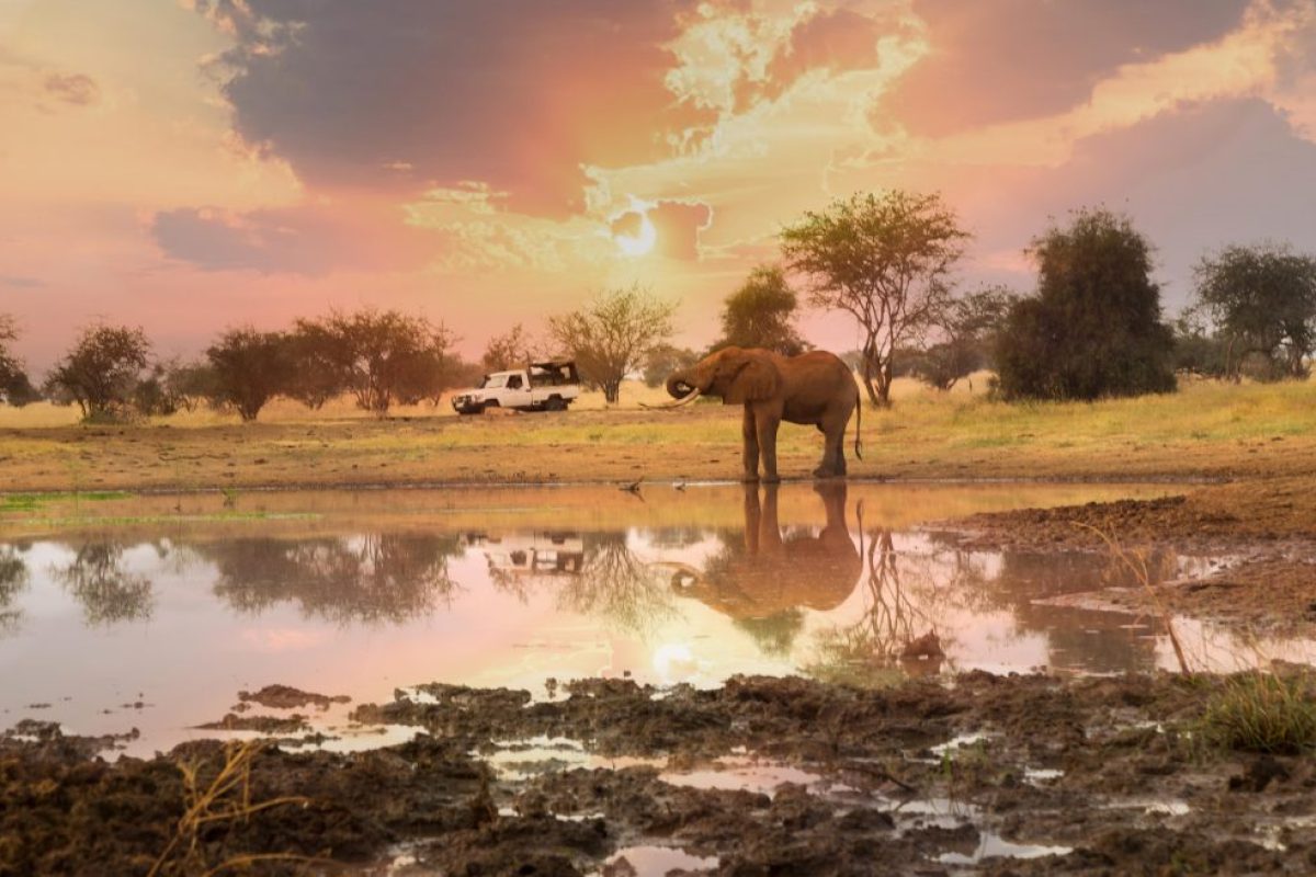 Sarova-Salt-Lick-Game-drive-1-1024x655