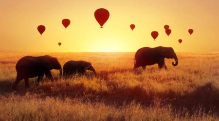 serengeti safari, safari activities in kenya